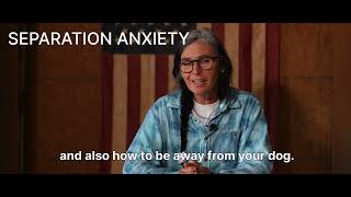 Saying Goodbye to Separation Anxiety: Help Your Dog Stay Calm When You're Away 🐾 by Dog Training 360 8 views 5 months ago 6 minutes, 48 seconds