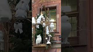 #france #travel #strasbourg