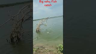 Unbelievable fishing in river #youtubeshorts #shorts