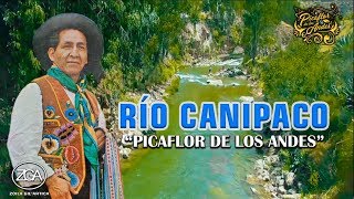 Miniatura del video "Picaflor de los Andes - RÍO CANIPACO"