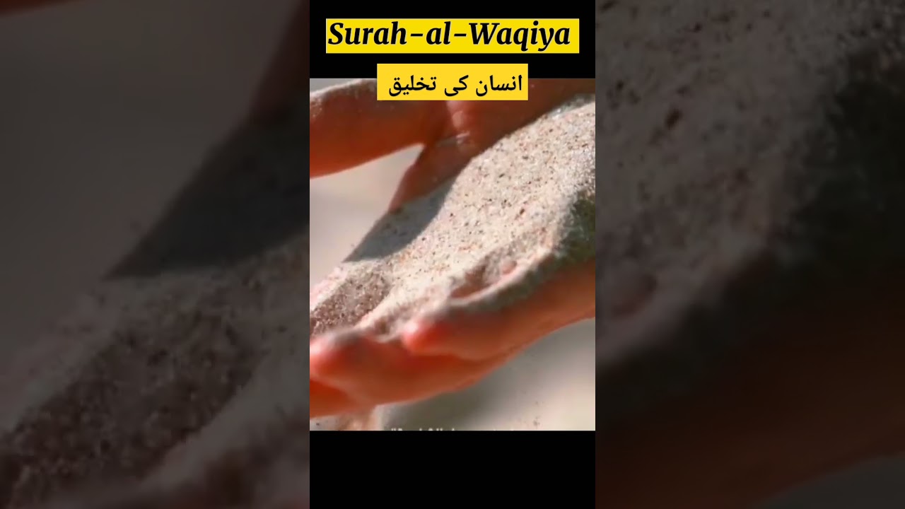 Surah-Al-Waqiya | The creation of man (quran translation) #islamic #qayamat #islamicvideo #quran