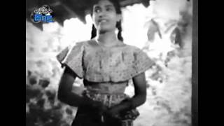 Ira handa paayana loke ඉර හඳ පායන ලෝකේ - සිකුරු තරුව 1963