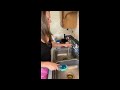 Super convenient dish wand! Totally worth it! (Use link in description to buy)