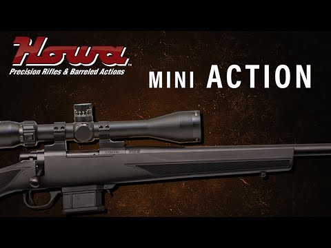 Howa Mini Action Rifle