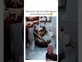 😂😂😂 | #lol #funny #hilarious #dog #dogshorts #pets #funnymemes #funnyshorts