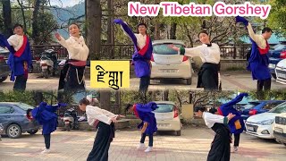 New Tibetan Gorshey2024 (Zilu)༼ རྫི་གླུ།༽ལྷག་དཀར་བཟང་།#tibetangorshey #newgorshey