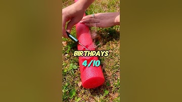 Put A Finger Down Thoughtful Edition 🤩👀🤩 #youtubeshorts #shorts #shortvideo #ytshorts #short