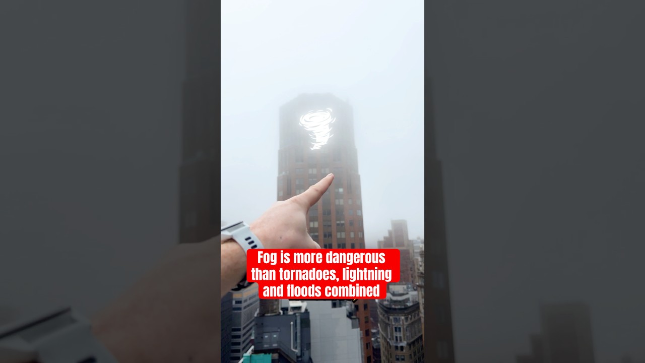 Why Fog Is More Dangerous Than It Looks