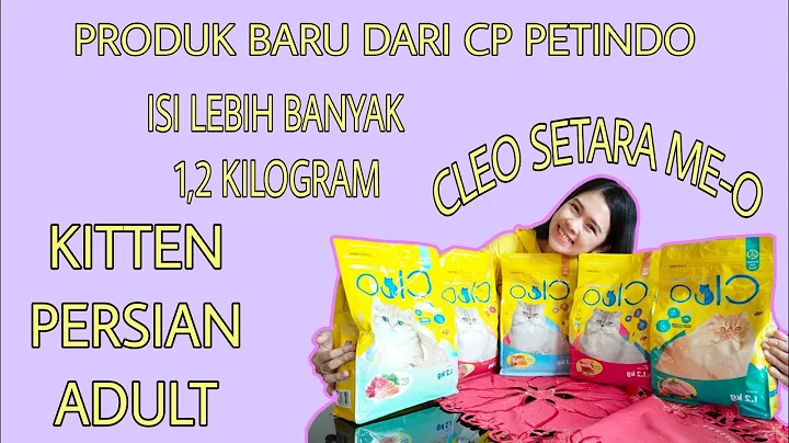 Video 4191921: persian cat review, persian cat kucing, persian cat kitten