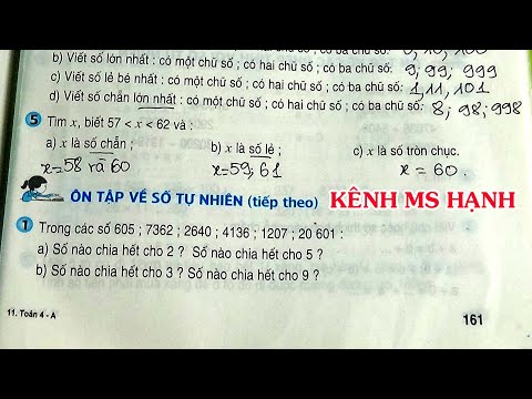 Video TOÁN LỚP 4 - TRANG 161+162 - SÁCH GIÁO KHOA - ÔN TẬP... - youtube