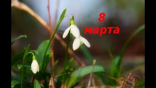 Поздравление на 8 марта в стихах