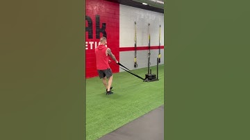 Reverse Sled Pull: Strengthen Knees and Improve Knee Health & Back Stability! 💥 #TrAkAthletics