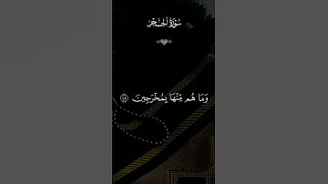 #ياسر_الدوسري #سورة_الحجر #لايك #اكسبلور #قرآن #راحة_نفسية