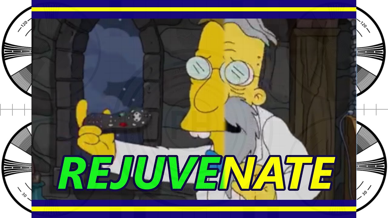 How to regenerate your aged, atrophied thymus and why your life depends on it!