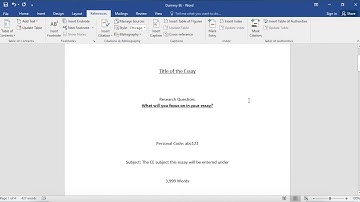 Footnote referencing on Windows computers using Word