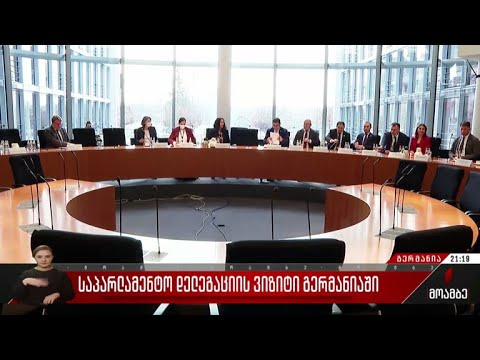 საპარლამენტო დელეგაციის ვიზიტი გერმანიაში