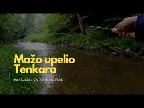 Video: Kas buvo vadinamas upėtakiu?