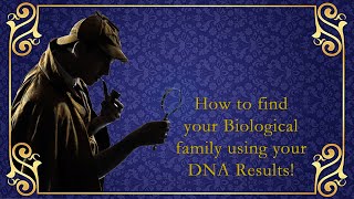 How to find your BIOLOGICAL family using your DNA results!