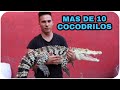 El tiene MUCHOS COCODRILOS!! (Visita a André Rocha) COCODRILOS DE COLORES 😮