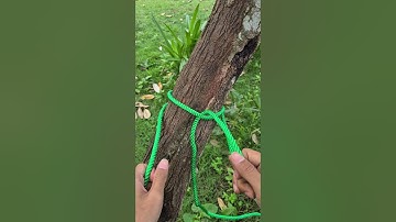 Bowline Knot💯#knots #knottying #howtoknot #ropework #usefulknots #diytutorial #skillbuilding #shorts