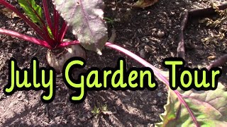 July 2020 Garden Update ~ Backyard Veggie Garden