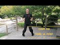 Chum kiu avec sifu massimo  les taolus du wing chun