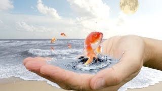 Как осуществить задуманное и почему не получается Как осуществить задуманное и почему не получается