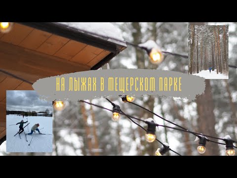 Катаемся на лыжах с подругой в Мещерском парке. Чайная. Собаки