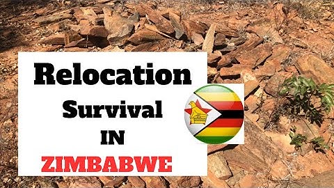 RELOCATING TO ZIMBABWE WATCH THIS FIRST