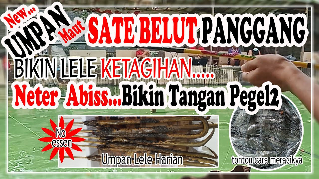 TRIK MANCING LELE STREK TERCEPAT | UMPAN SATE BELUT PANGGANG