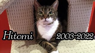 Hitomi Princess 20032022