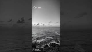 Hadi Gülüm Sor Nerdeyim