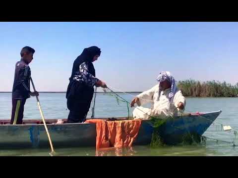 صيد السمك في اهوار ام النعاج العمارة