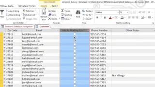 Access 2013  Modifying Tables