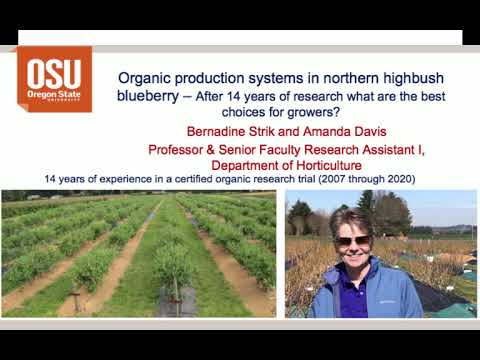 Organic Production Systems in Northern Highbush Blueberry