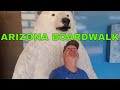 Arizona Boardwalk and OdySea Aquarium Tour