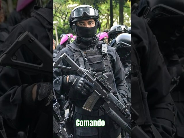 #nsg_commando #india #bsf #nsg_commando #shirtvideo #armi class=