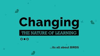 Bird Bees Knowledge Platform