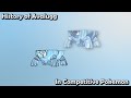 How GOOD was Avalugg ACTUALLY? - History of Avalugg in Competitive Pokemon