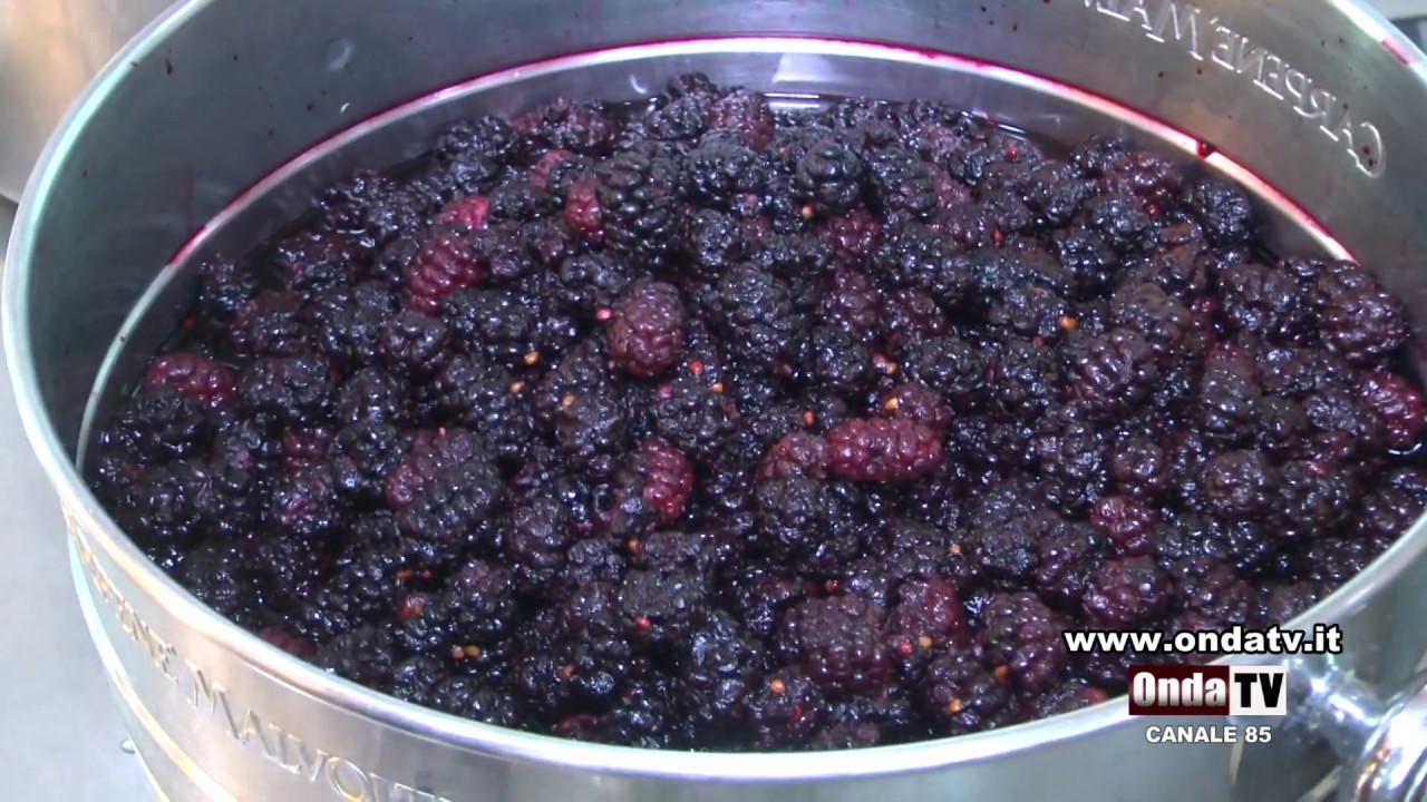 La preparazione della granita di Gelsi al ritrovo Orchidea di Oliveri