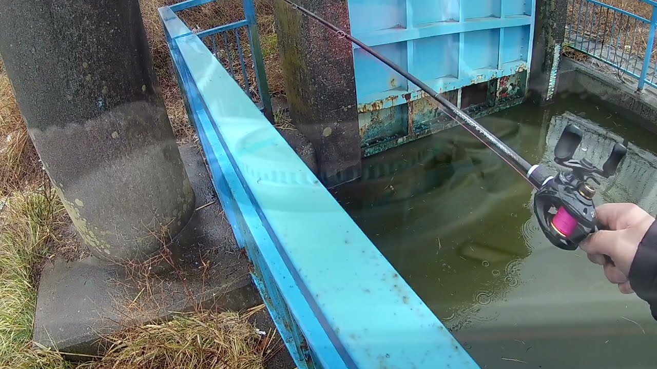 雨のバス釣りはロープレッシャー 22年2月 Youtube 雨のバス釣りはロープレッシャー 22年2月 Youtube