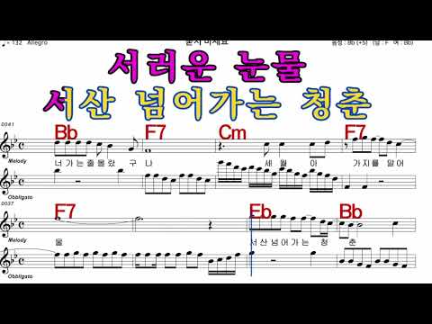 묻지마세요  김성환  iSMB 가수처럼 엠알로 노래 악보  여자 키  Bb