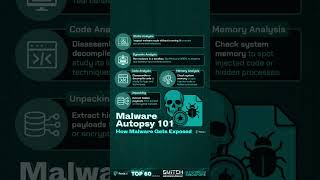 Malware Autopsy 101: How Malware Gets Exposed