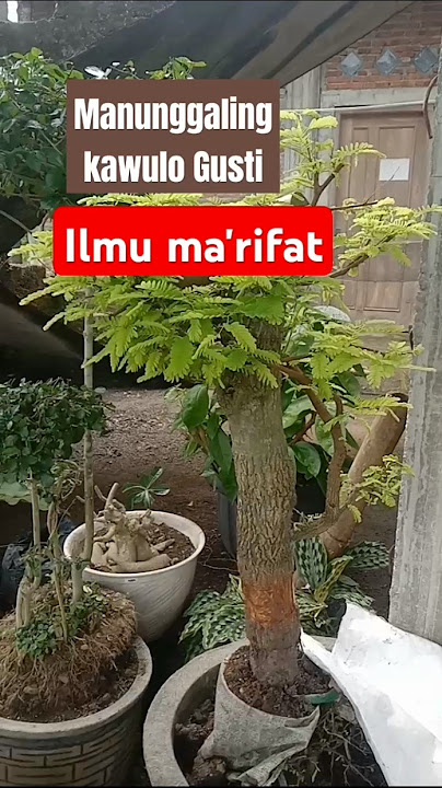 ilmu ma'rifat or manunggaling kawulo Gusti #jatidiri #marifatullah #manunggalingkawulagusti #shorts