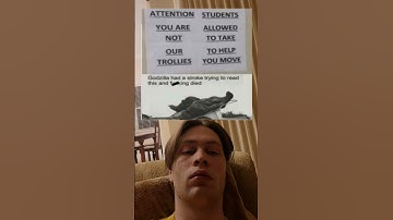 Understanding This Sign Is A Challenge #meme #reaction #greenscreen