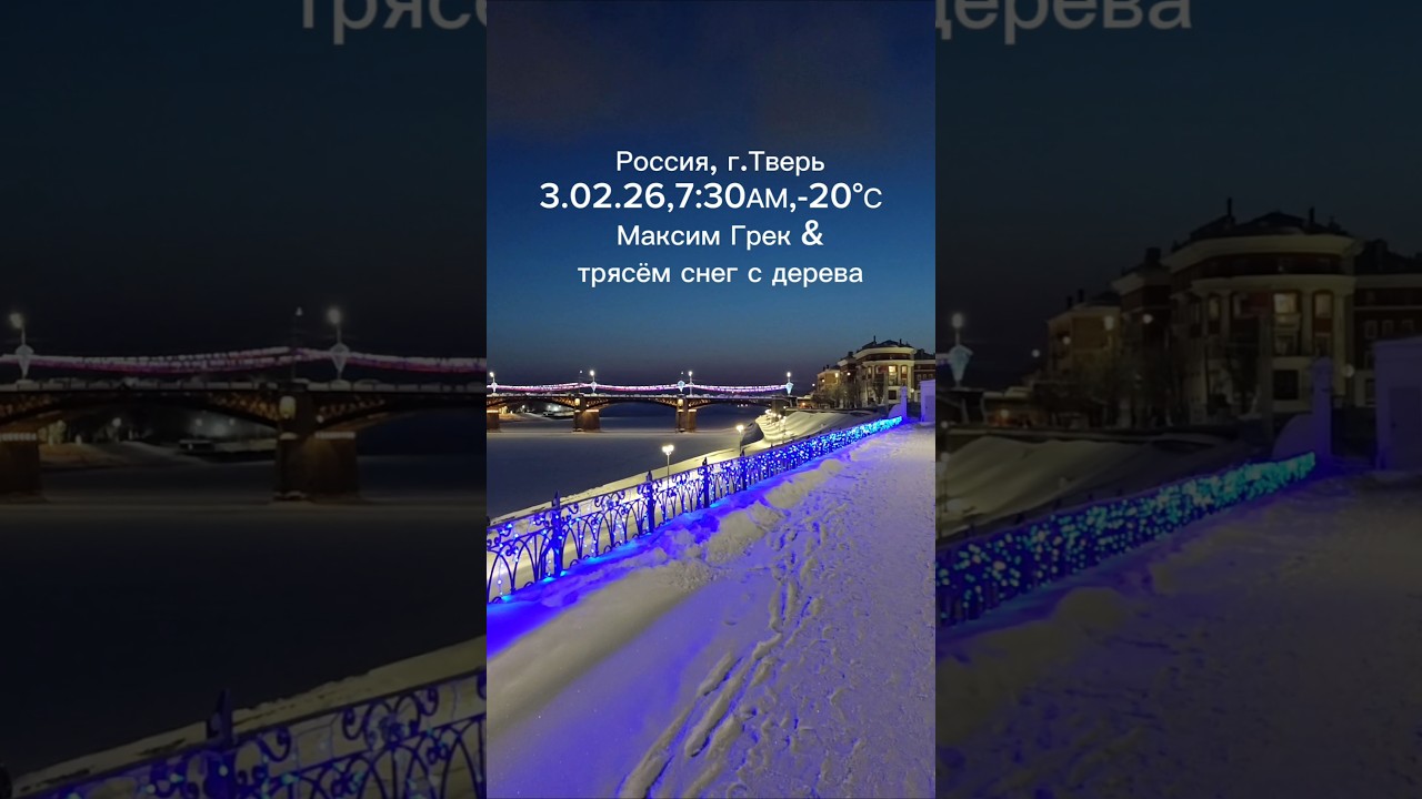 Россия, г.Тверь 3.02.26,7:30АМ,-20&deg;С   Максим Грек & трясём снег с дерева