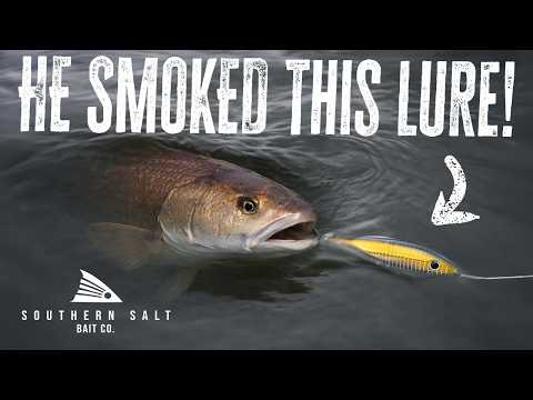 best top water lures for port aransas red fish 3" Popper Lure The BEST Topwater Lure for