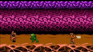 Battletoads & Double Dragon - On Ragnarok [v1.2] [NES]