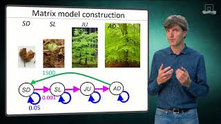 Fem30806 - Constructing Matrix Models