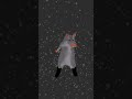 #Rat dance